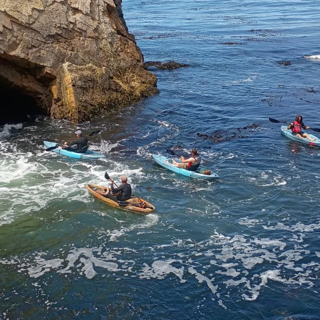 Kayak entering the Dinosaur Caves sea cave near Shell Beach